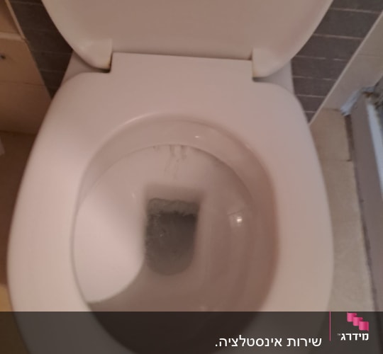 מבט מקרוב על אסלת שירותים לבנה בחדר רחצה